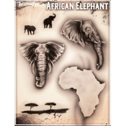 Wiser Elephant Africain